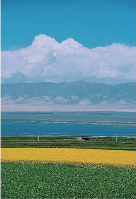 微信截图_20240305143709.png